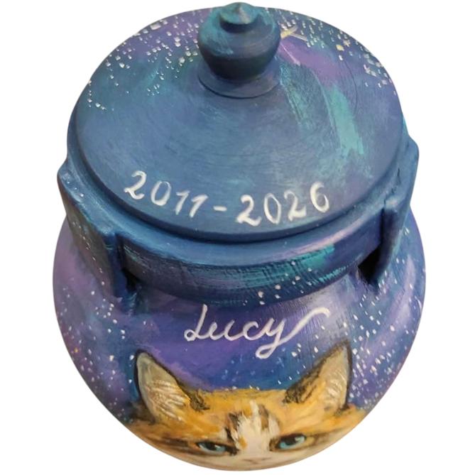 cat4